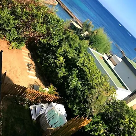 Beachfront Art Cristalia